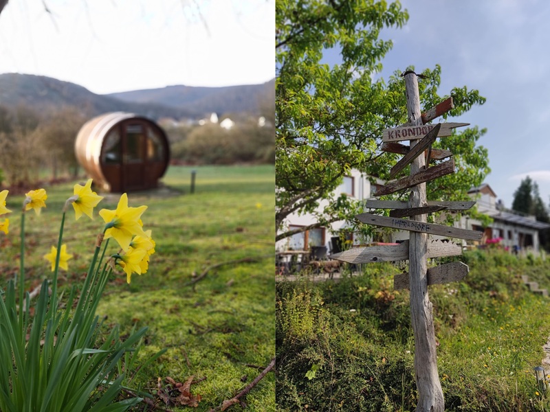 Links ein Bild von einem Saunafass auf einer grünen Wiese, im Vordergrund blühen Narzissen. Rechts ein Bild von einem Wegweiser aus vielen korrigen Holzschildern, die übereinander angeordnet sind und in alle möglichen Richtungen schreiben. Außenrum saftiges Grün von Bäumen und Wiesen
